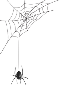 örümcek ağı bir alanda kurulan alan ağ dır.